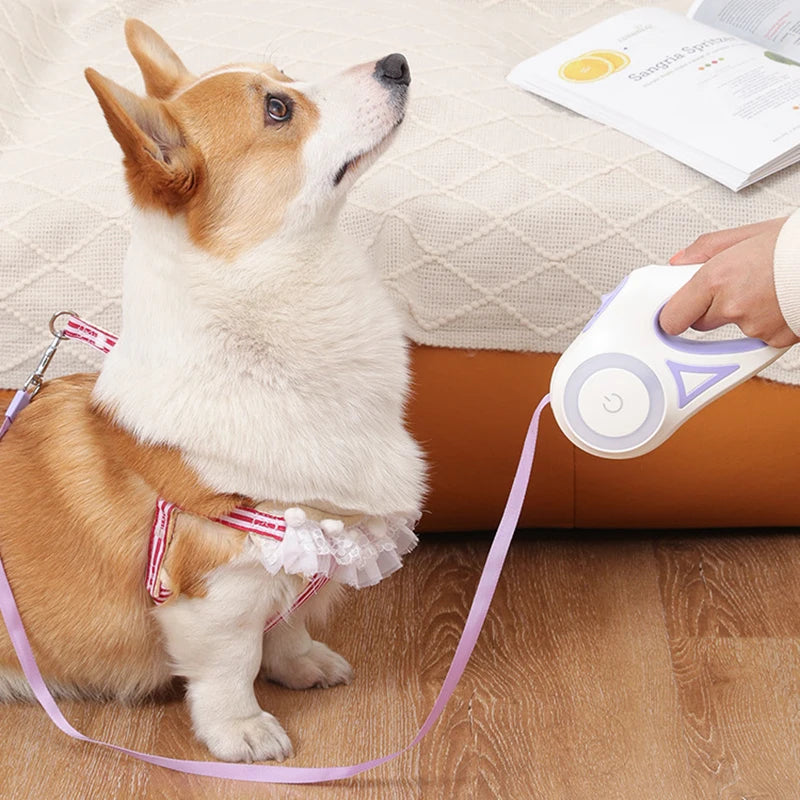 GlowGuide Retractable Dog Leash